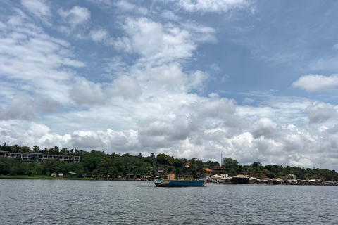 From Entebbe: Shoebill swamp and Equator Tour with Boat Ride