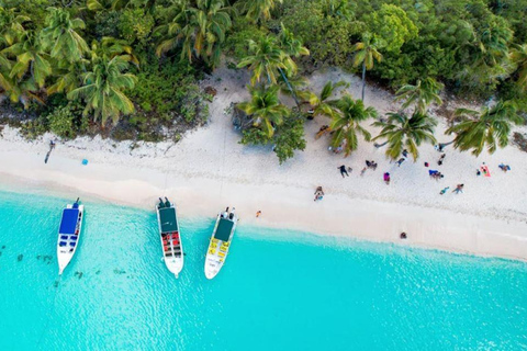 Punta Cana: Saona Island Day Trip with VIP Option