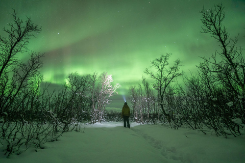 Tromsø: Northern Lights Hunt with Photos and Hot Food
