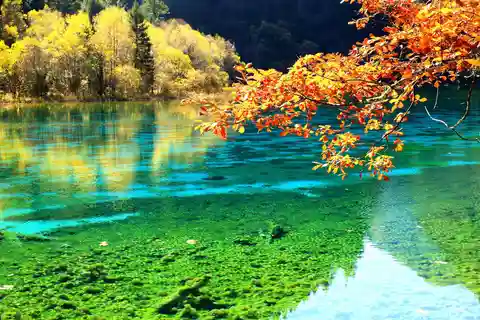 Excursión privada de 2 días a Jiuzhaigou y Huanglong