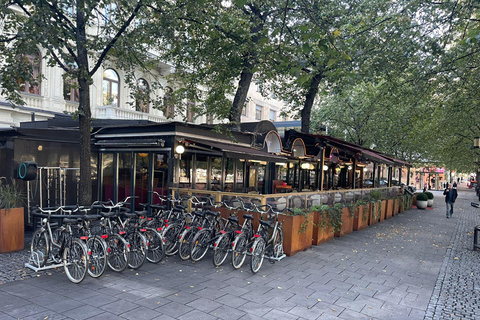 Stockholm: Guided Bike Tour