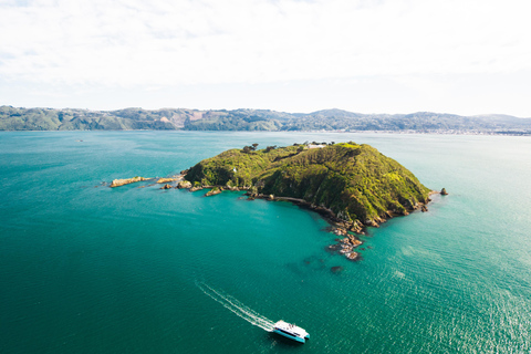 Wellington: The Great Harbour of Tara Electric Ferry Tour