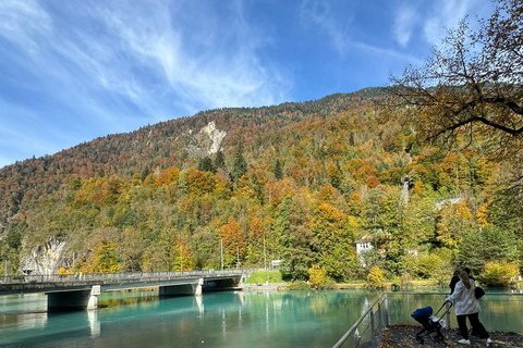 Genève: privé luxe dagtrip naar InterlakenGenève: Privé luxe dagtrip naar Interlaken