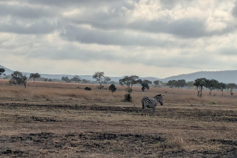 Zanzibar: Chumbe Island Coral Park Day Trip with LunchGrave Island in front of Stone Town