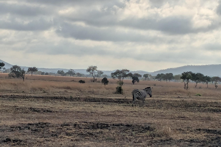 Zanzibar: Chumbe Island Coral Park Day Trip with LunchGrave Island in front of Stone Town