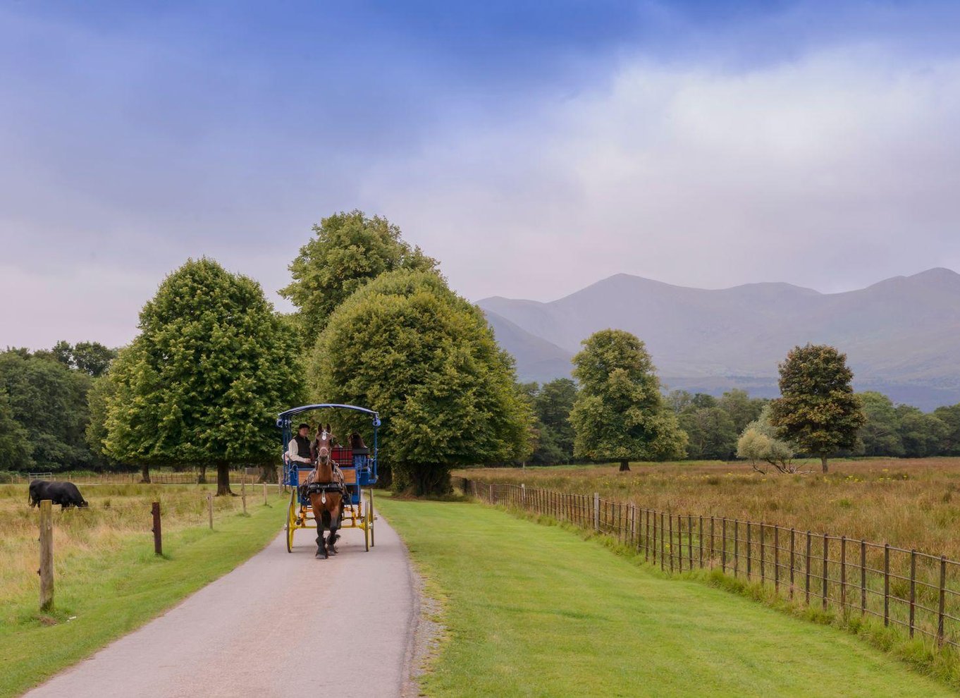 Killarney: 1-times tur med hestevogn i Jaunting Car