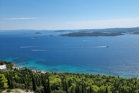 Von Split aus: Private Tour zu den besten Weingütern auf PelješacPrivate Tour zu den besten Weingütern auf Pelješac