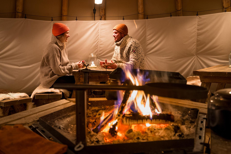 From Tromsø: Dog Sledding Adventure in Tamokdalen Dog Sledding Adventure in Tamokdalen: Midday Departure