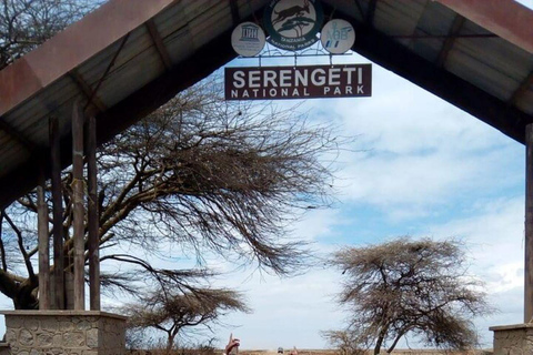 From Nairobi: 12 Days Small Group Kenya and Tanzania Safari