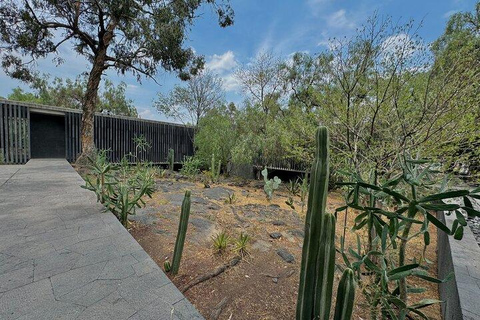 Anahuacalli Museum Guided Tour Mexico City: Double Tour - Anahuacalli + Casa Estudio