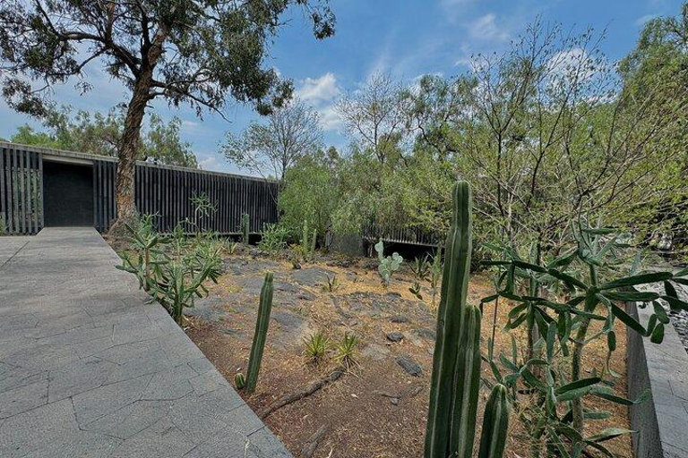 Anahuacalli Museum Guided Tour Mexico City: Double Tour - Anahuacalli + Casa Estudio