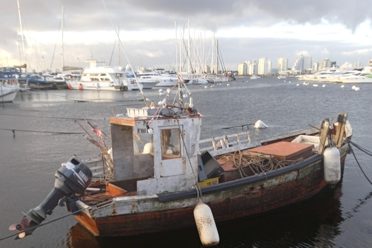 El mejor tour privado &quot;A tu manera&quot; en Punta del Este.