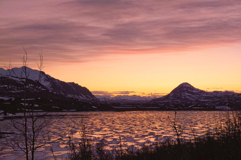 Authentical Denali Tour from Denali Park and Fairbanks