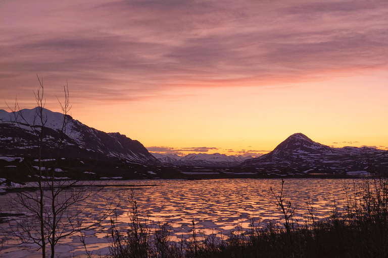 Authentical Denali Tour from Denali Park and Fairbanks