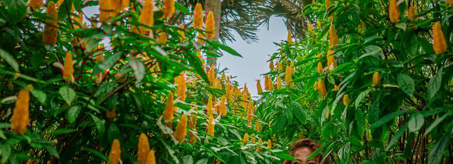 Explorez les hauts plateaux de Cebu avec un photographe