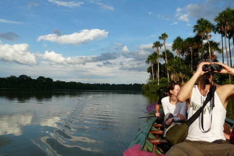 Madre de Dios: Jezioro Saldoval + wizyta u aryPeruwiańska dżungla: dzikie 4 dni