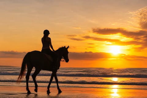 Bali: Seminyak Private Beach Horse Ride at Sunrise or Sunset