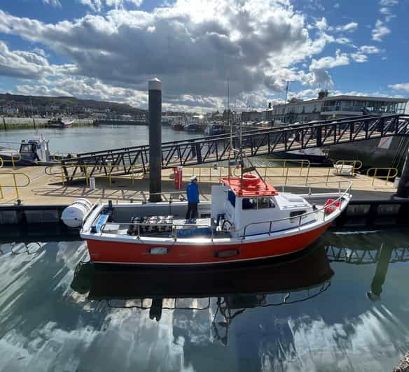 Dublin: Howth Coastal Boat Tour with Ireland's Eye Ferries | GetYourGuide