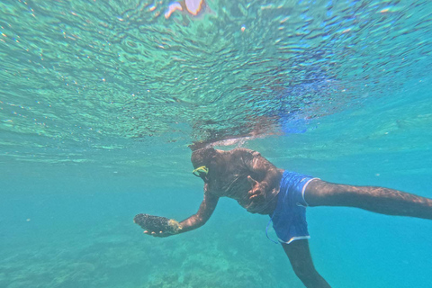 Vanuatu: Tanna Coffee Factory Tour and Pele Island Trip