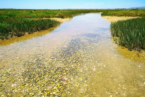 Olhão: Kleine groepen, Klassieke boot, Natuurpark Ria Formosa.