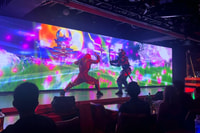 Tokyo, Samurai Show Ticket met 2 drankjes - Housity