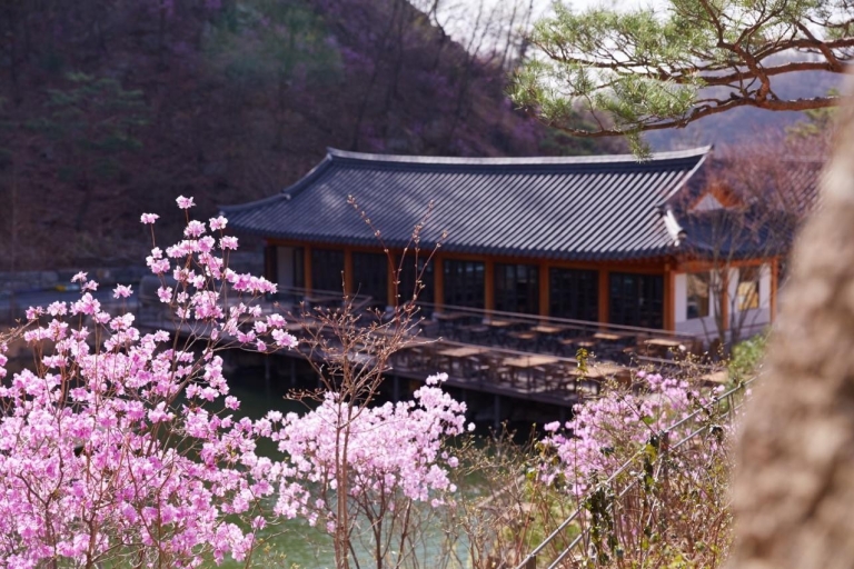 Seoul: Hwadam Botanischer Garten & Nami Island Blumen TagestourNami & Railbike Tour, Treffen am Hongik Uni. Bahnhof