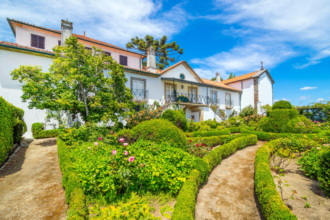 Douro Valley: Quinta Santa Júlia Tour, Wine Tasting & Lunch