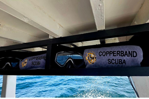 Pattaya: Fun dives in Pattaya and Samaesarn with transfer 3 Dives