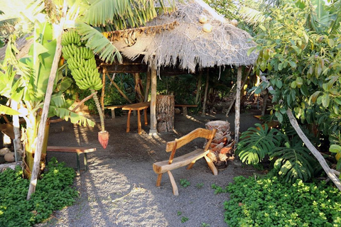 La Palma : Visite guidée EcoFinca Platanologico &quot;la forêt comestible&quot;.