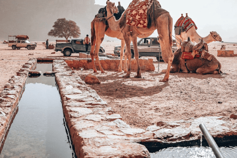 Wadi Rum : Randonnée et ascension du mont Burdah + déjeuner traditionnel