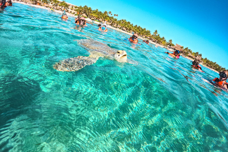 Cancun: Tulum Ruins, Akumal Turtles, Cenote & Caves Snorkel From Cancun