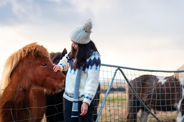 Reykjavik: South Coast Private Day Tour & a Polaroid Photo