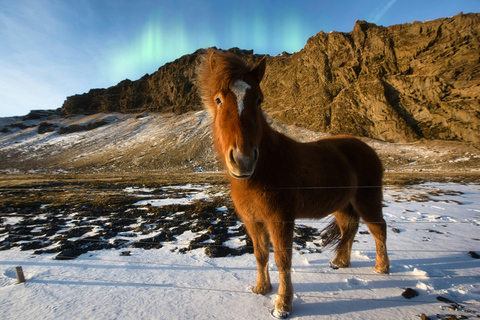 Iceland: Reynisfjara Black‑Sand Beach Horseback Adventure