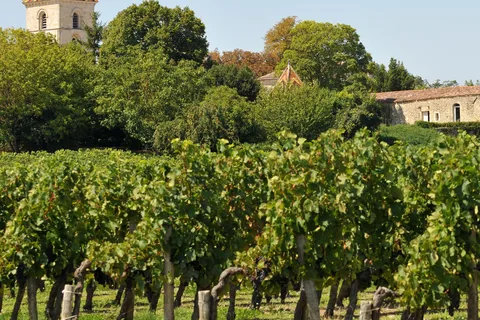 Burdeos: Excursión de medio día a Blaye y Bourg, Vino y Patrimonio