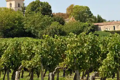 Burdeos: Excursión de medio día a Blaye y Bourg, Vino y Patrimonio