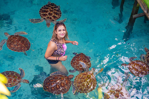 Zanzibar: Beach Day Tour to Salaam, Mtende, Paje & The Rock