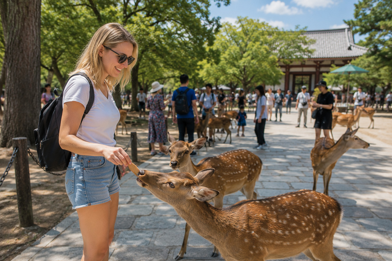 Nara Park: Deer & Healing Forest Guided Tour with Stories