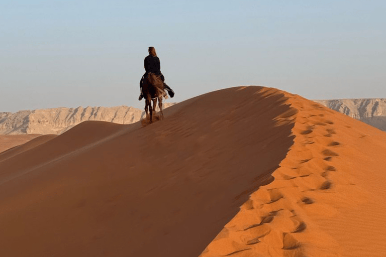 Horse Riding in Riyadh