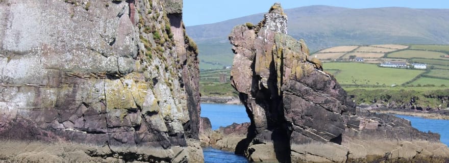 Dingle : excursion guidée en bateau le long des falaises de la baie de Dingle (1 heure)