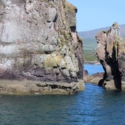 Dingle: Dingle Bay Cliffs Boat Tour with Guide (1 Hour) Dingle: Dingle Bay Cliffs Boat Tour with Guide (1 Hour)