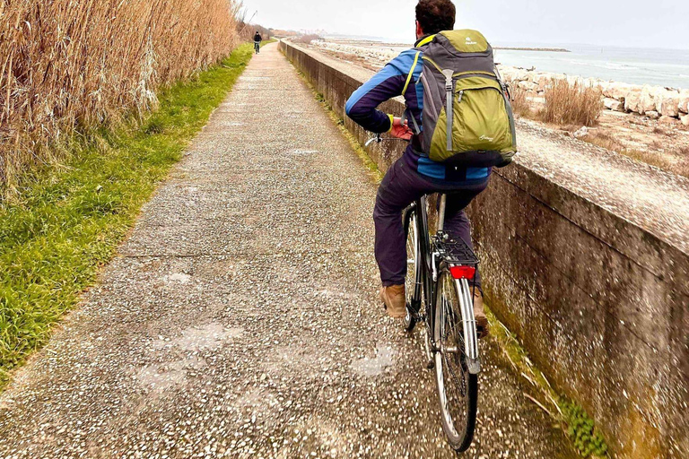 Venice: Lido and Alberoni Bike and Hike Tour