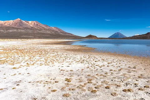 Arequipa: Excursão à Lagoa Salinas