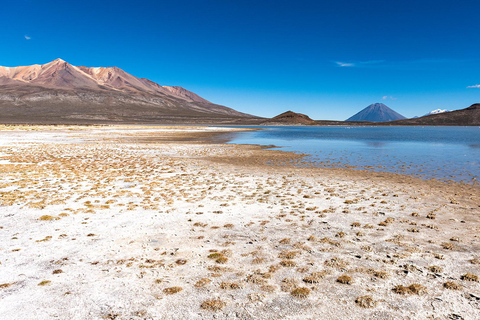 Excursion: Lagoon + National Reserve of Salinas in Arequipa