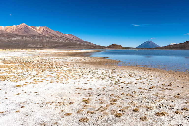 Excursion: Lagoon + National Reserve of Salinas in Arequipa