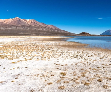 Arequipa: Tur i Salinas-lagunen