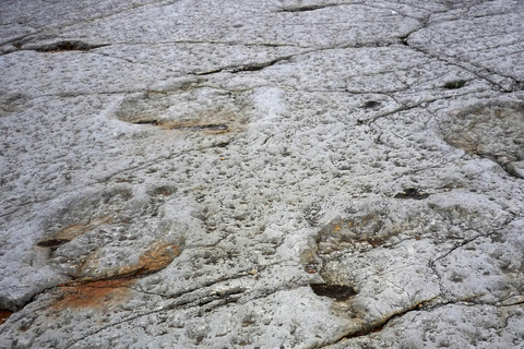 Lissabon: Dinosaurier-Fußabdrücke, Höhlen und Óbidos-TourTour für kleine Gruppen: Dinosaurierfußabdrücke, Höhlen und Óbidos