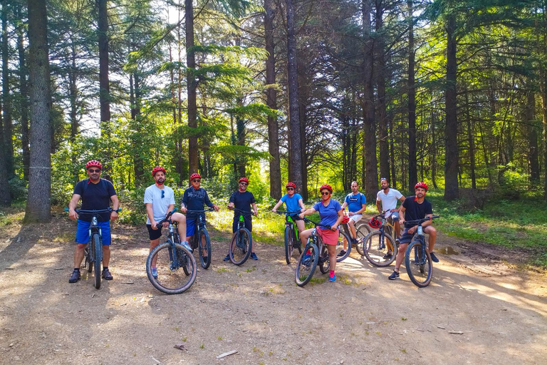 VTT Electrique 3h : Balade en nature pour tout niveau Tarif Réduit Groupe (à partir de 8 personnes)