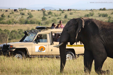 Nairobi: 4-dagars safari med guide i Amboseli, Tsavo West och East