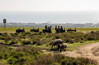 Von Lissabon aus: Geführte Quad-Tour an der Atlantikküste