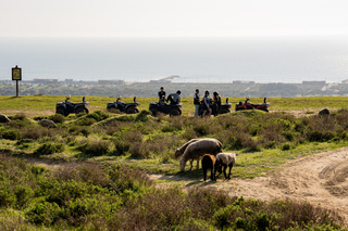 Au départ de Lisbonne : excursion guidée en quad sur la côte atlantique